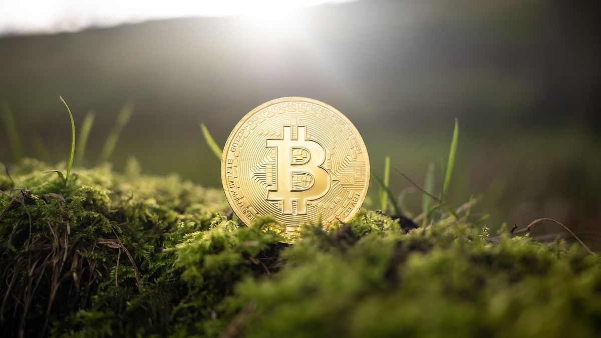 Casinò Cripto: Guida Completa e Semplice per Giocare in Modo Sicuro